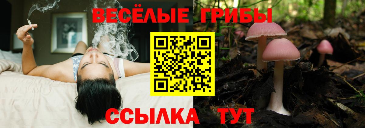 Майкоп  как найти наркотики  Вход с VPN  Псилоцибиновые грибы MAGIC MUSHROOMS  Галлюциногенные грибы MAGIC MUSHROOMS 